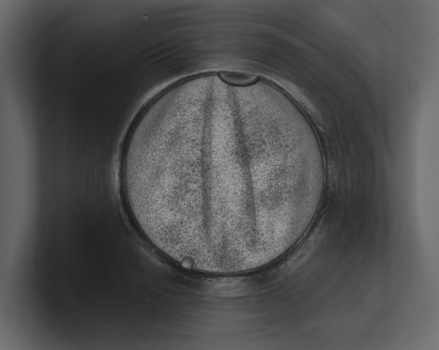 X0000100900846200807151116