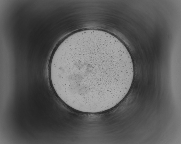 X0000100900848200807151116