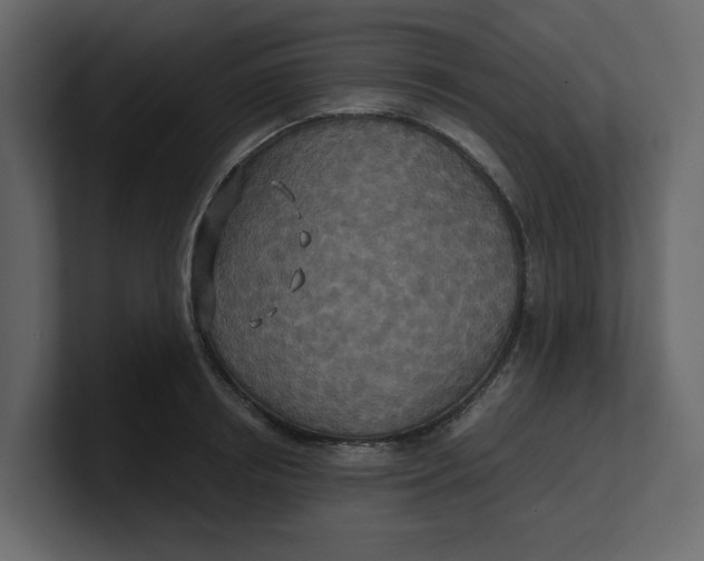 X0000100900850200807151116