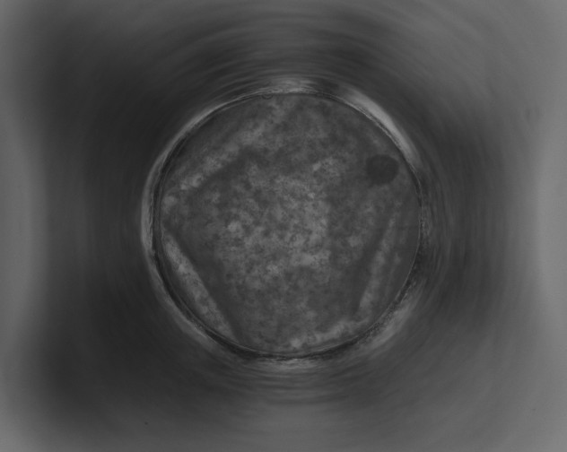 X0000100900851200807151116