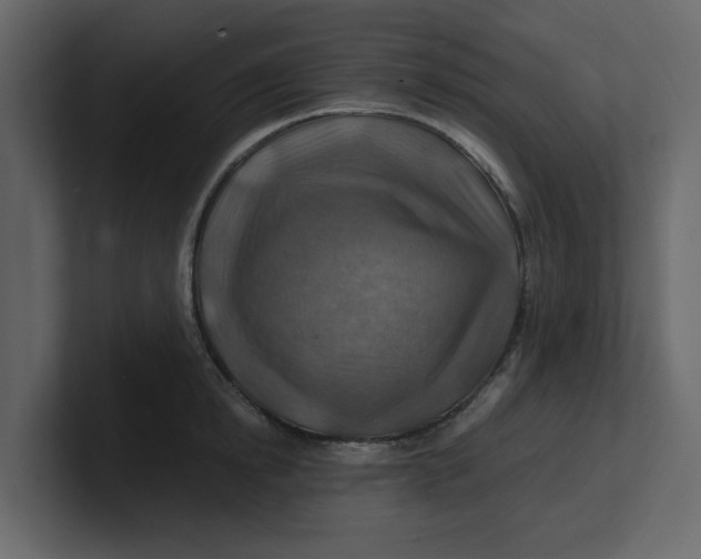 X0000100900854200807151116