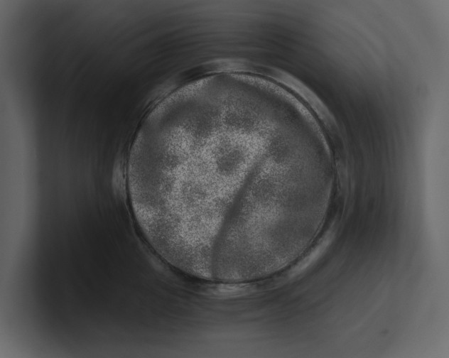 X0000100900857200807151116