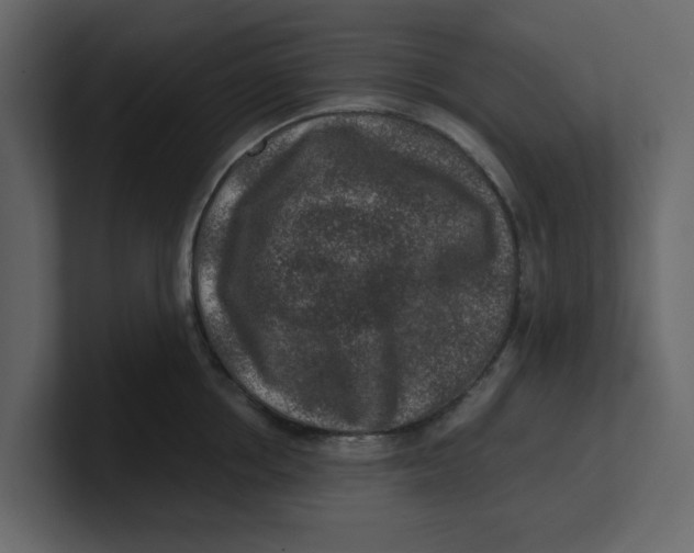 X0000100900858200807151116