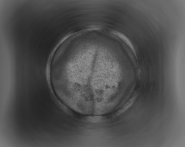 X0000100900859200807151116