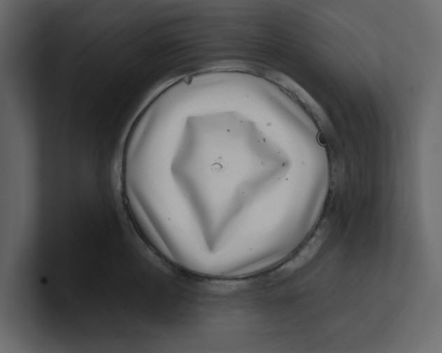 X0000100900860200807151116