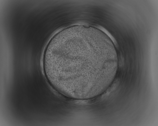 X0000100900861200807151116