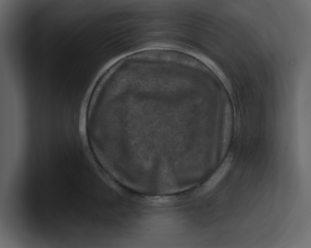 X0000100900862200807151116