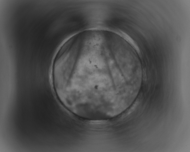 X0000100900863200807151116