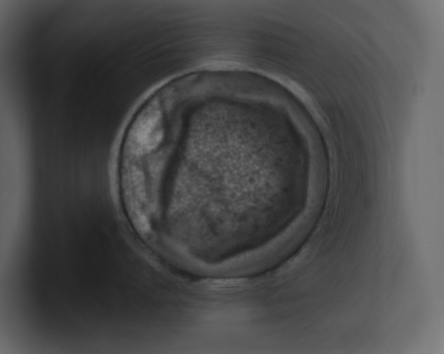 X0000100900864200807151116