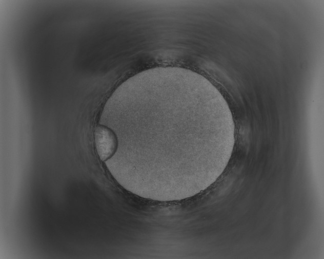 X0000100900865200807151116