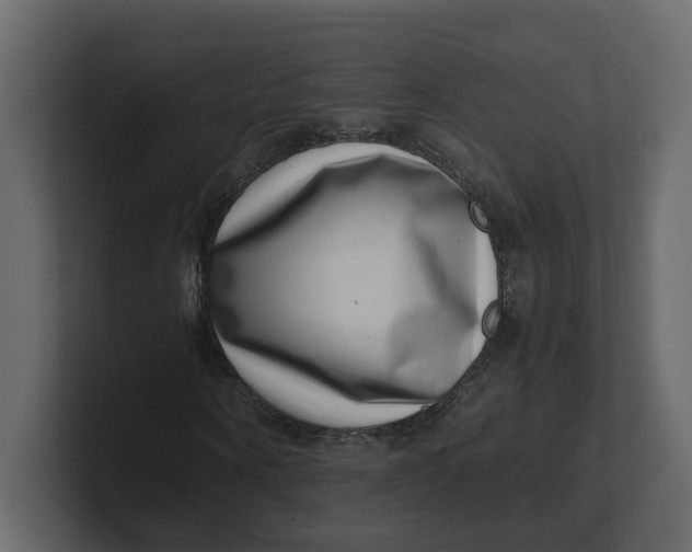 X0000100900866200807151116