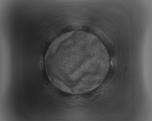 X0000100900867200807151116