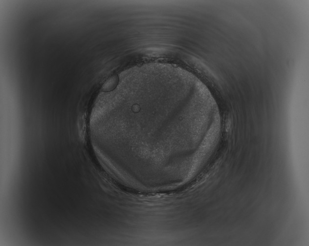 X0000100900868200807151116