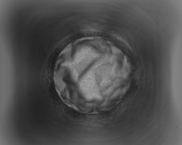 X0000100900870200807151116