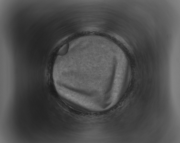 X0000100900872200807151116