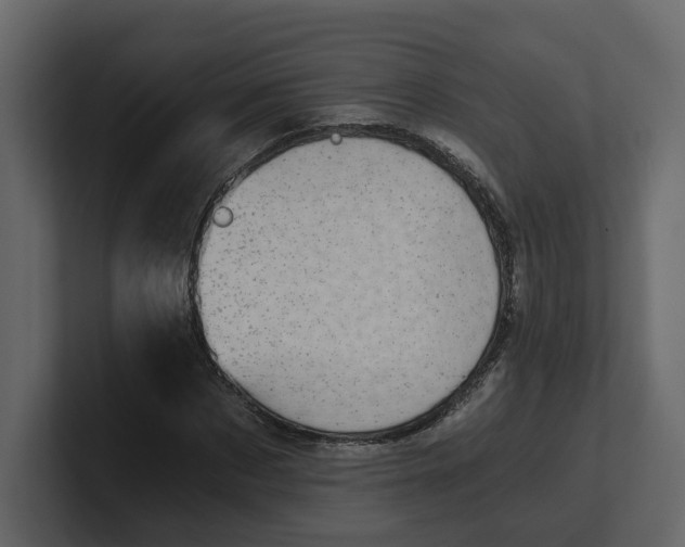 X0000100900873200807151116