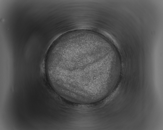 X0000100900875200807151116