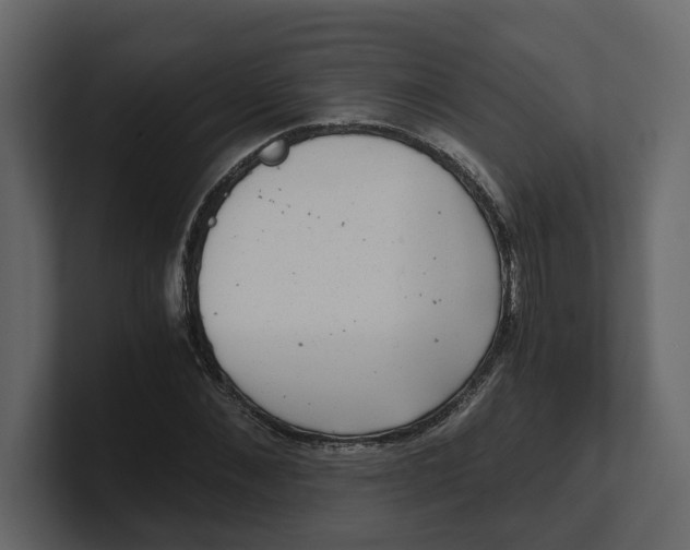 X0000100900876200807151116