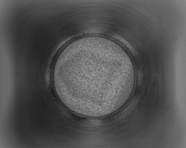 X0000100900878200807151116