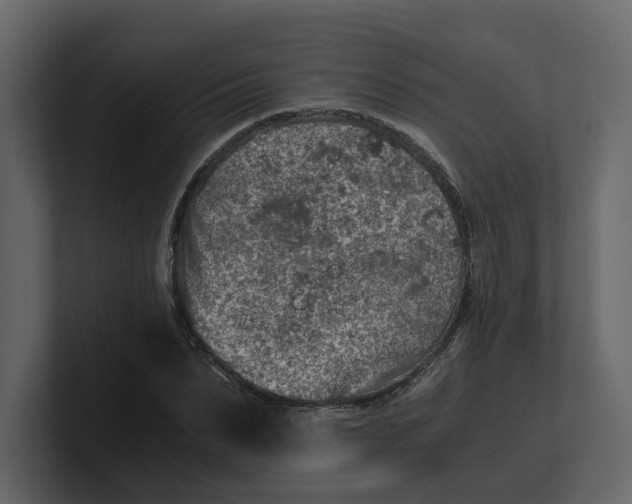 X0000100900879200807151116