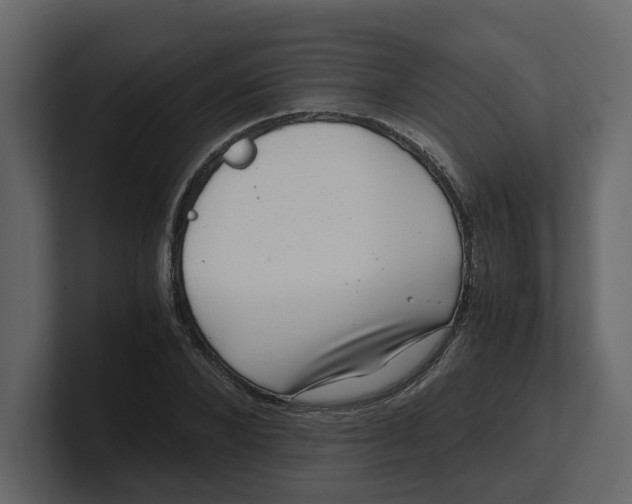 X0000100900880200807151116