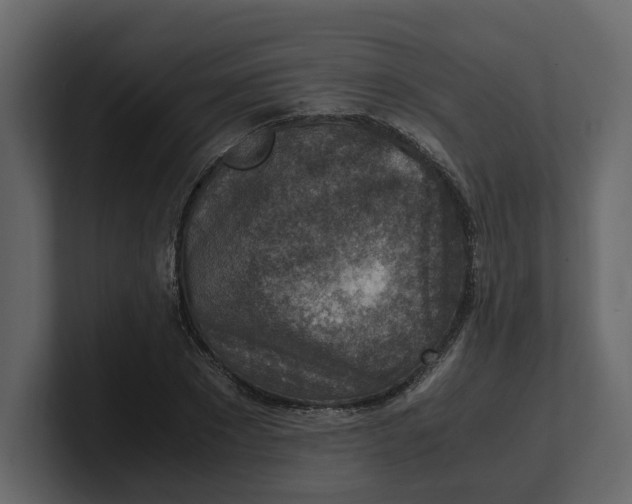 X0000100900881200807151116