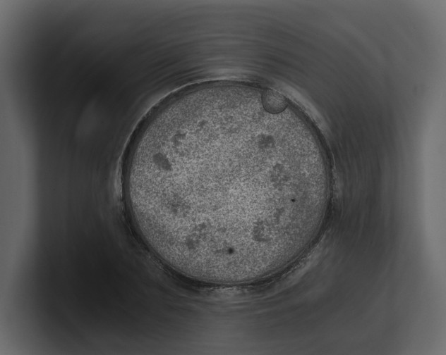 X0000100900883200807151116