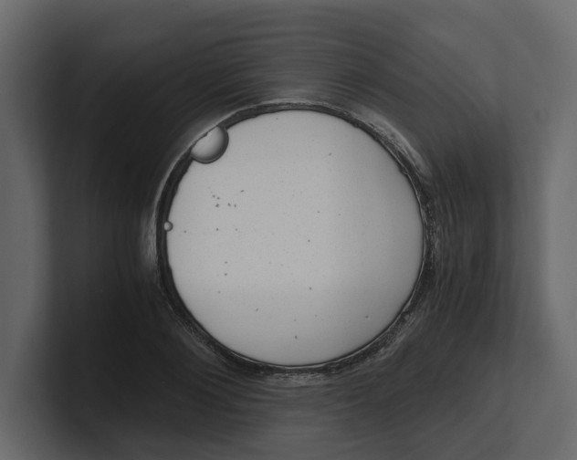 X0000100900884200807151116