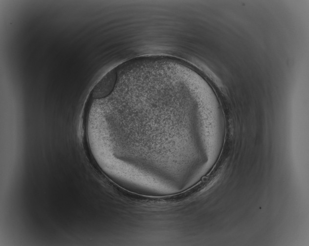 X0000100900885200807151116