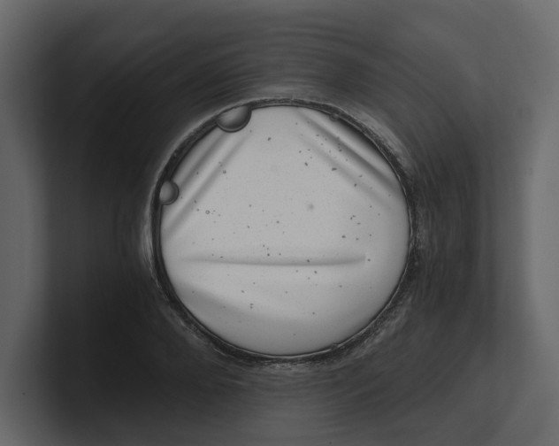 X0000100900888200807151116