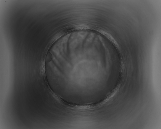 X0000100900889200807151116