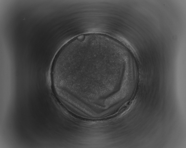 X0000100900892200807151115