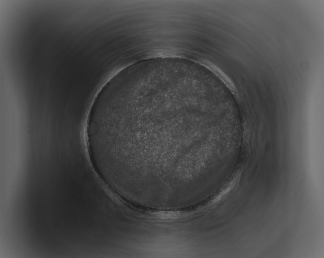 X0000100900893200807151115