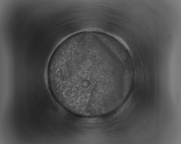 X0000100900895200807151115