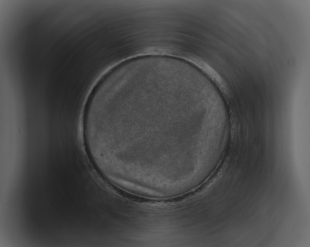 X0000100900896200807151115