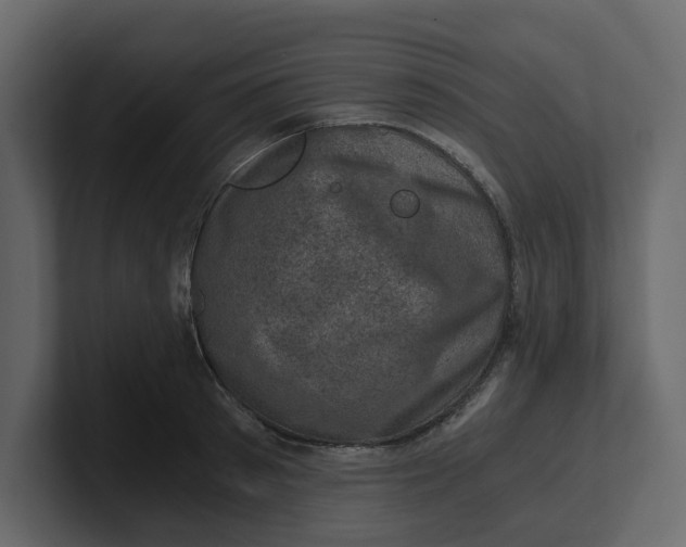 X0000100900897200807151115