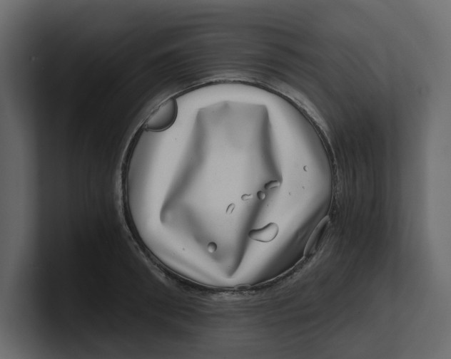 X0000100900898200807151115