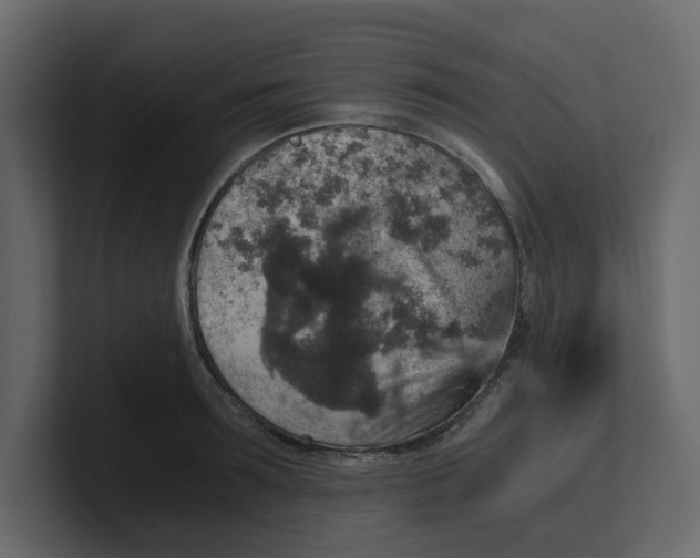 X0000100900899200807151115