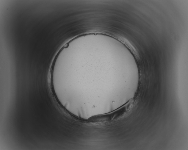 X0000100900900200807151115