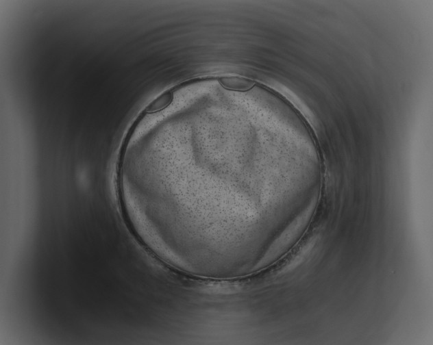 X0000100900901200807151115