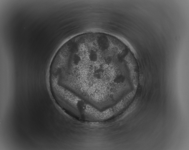 X0000100900903200807151115