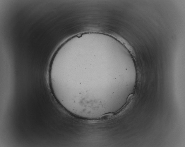 X0000100900904200807151115