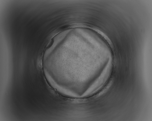 X0000100900905200807151115