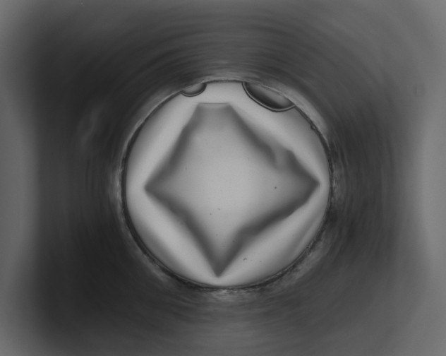 X0000100900906200807151115