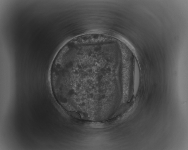 X0000100900907200807151115