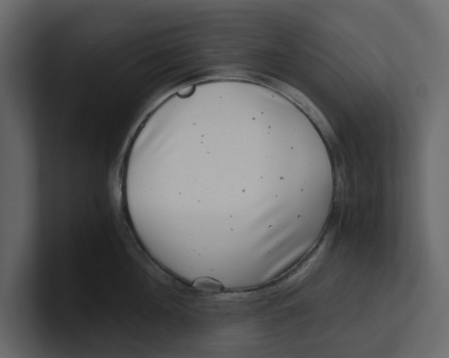 X0000100900908200807151115