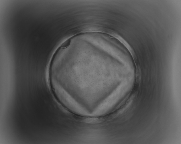 X0000100900909200807151115