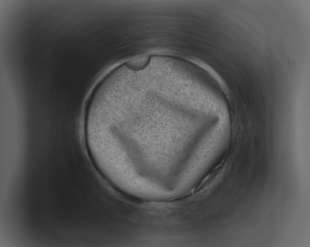 X0000100900910200807151115