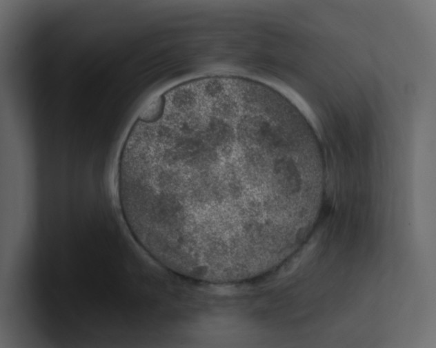 X0000100900911200807151115