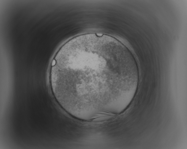 X0000100900912200807151115